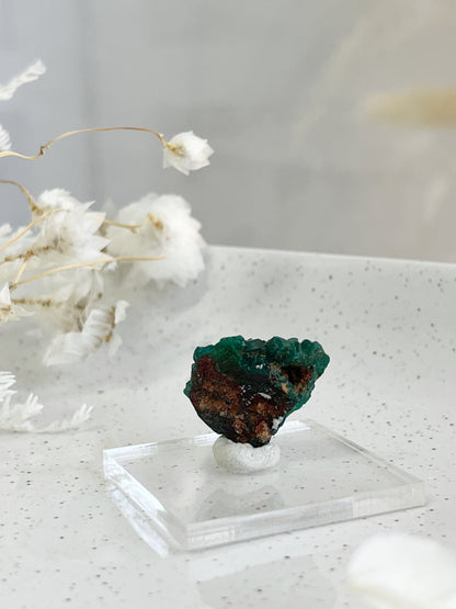 DIOPTASE SPECIMEN || 31595