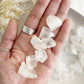 APOPHYLLITE TIP || INTUITIVELY CHOSEN