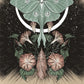 FATED POCKET LOVE ORACLE || ATHENE NOCTUA
