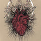 FATED POCKET LOVE ORACLE || ATHENE NOCTUA