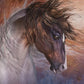 HORSE WISDOM ORACLE || KATHY PIKE