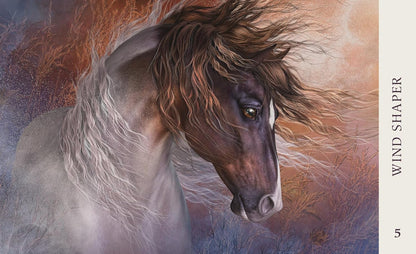 HORSE WISDOM ORACLE || KATHY PIKE