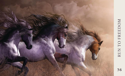 HORSE WISDOM ORACLE || KATHY PIKE