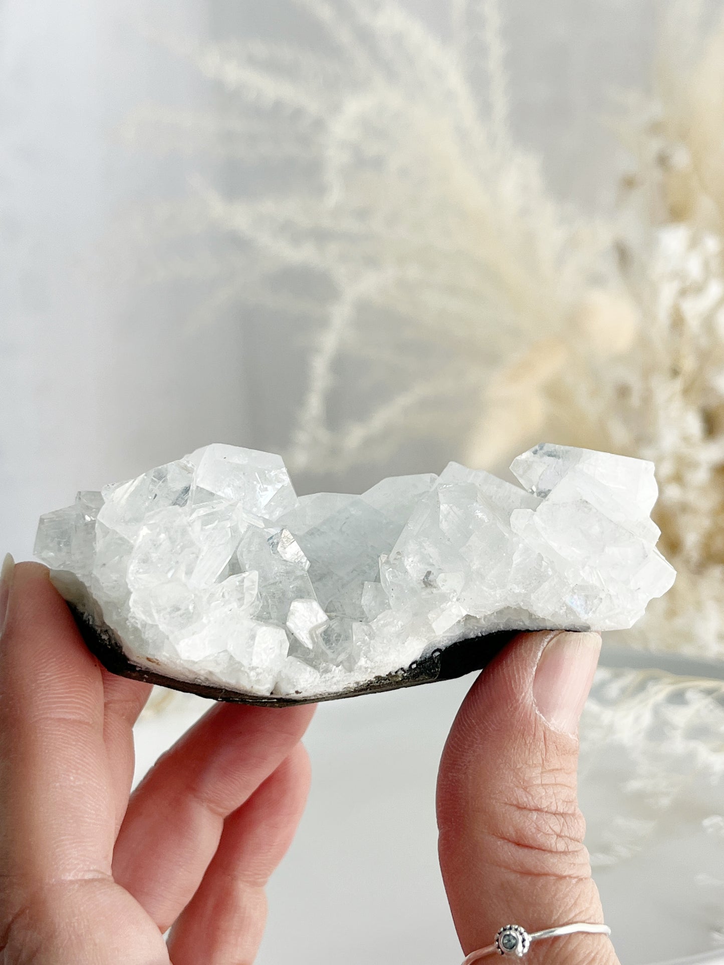 APOPHYLLITE CLUSTER || 32124
