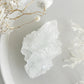 APOPHYLLITE CLUSTER || 32125