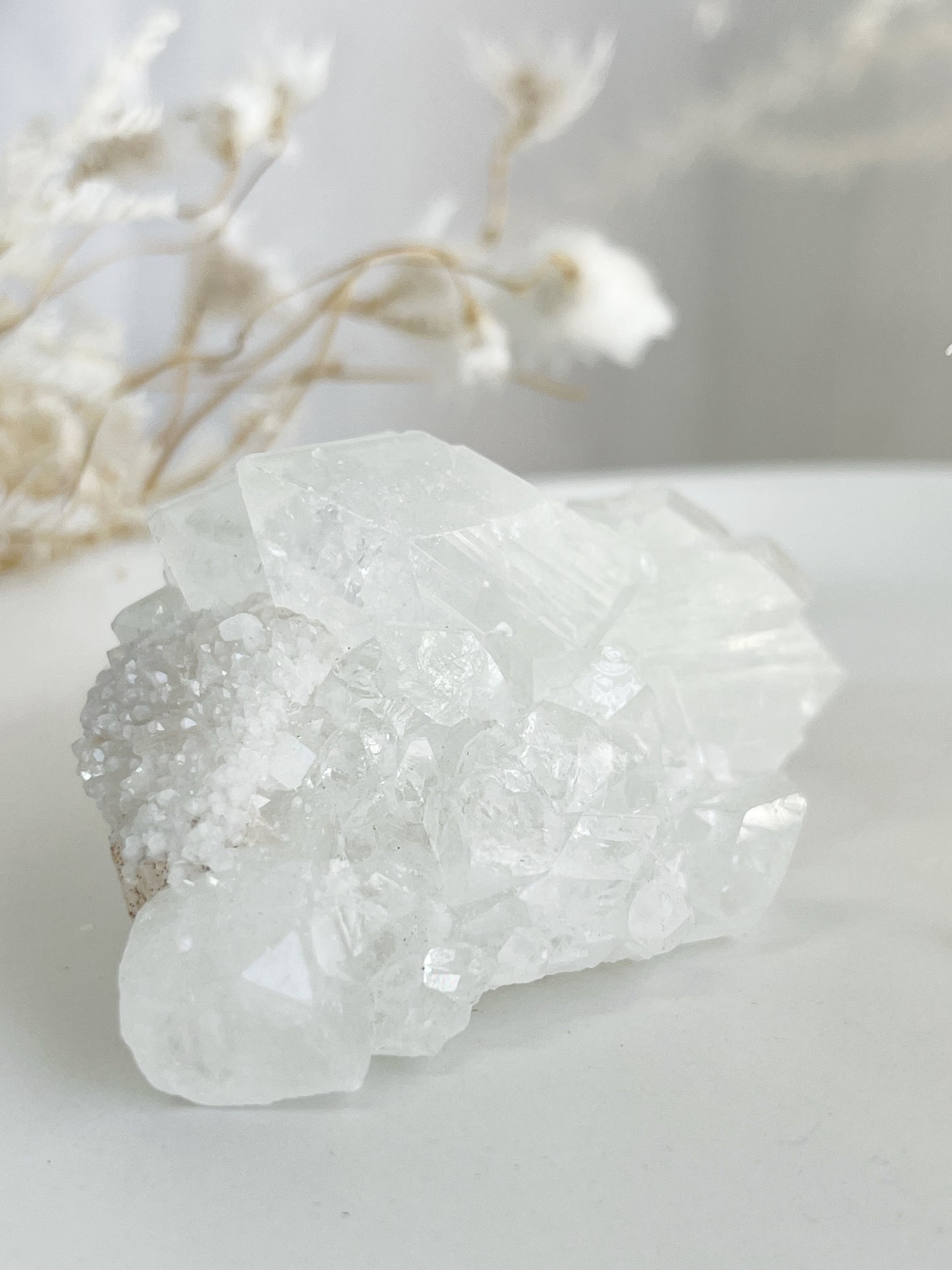 APOPHYLLITE + STILBITE CLUSTER || 32126