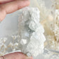 APOPHYLLITE CLUSTER || 32128