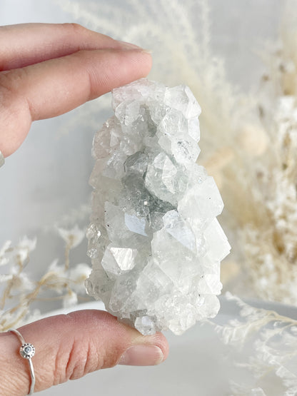 APOPHYLLITE CLUSTER || 32128