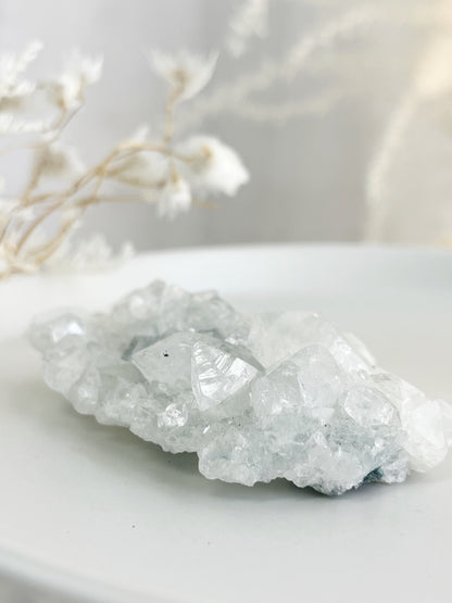 APOPHYLLITE CLUSTER || 32128