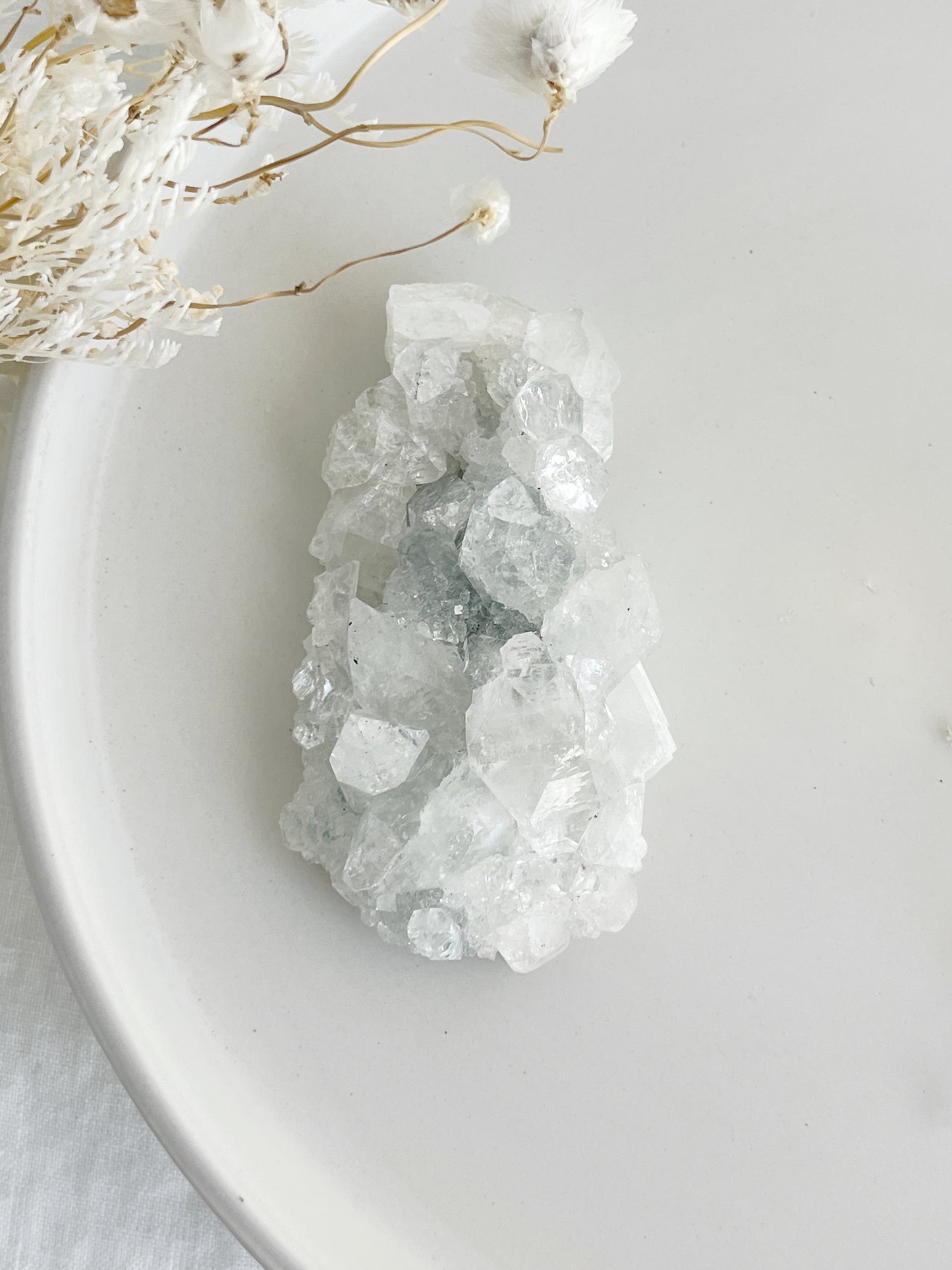 APOPHYLLITE CLUSTER || 32128