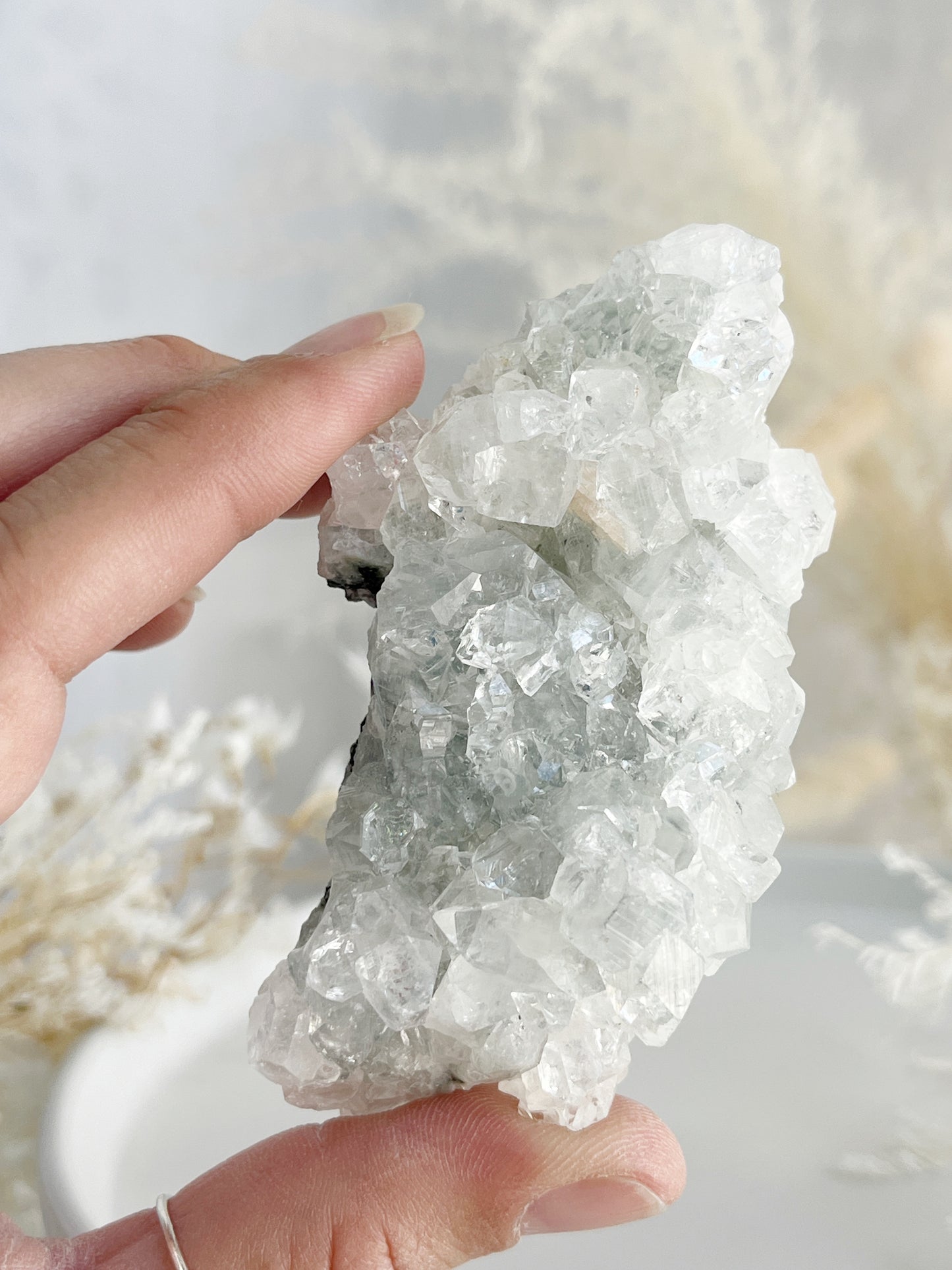 APOPHYLLITE + STILBITE CLUSTER || 32130