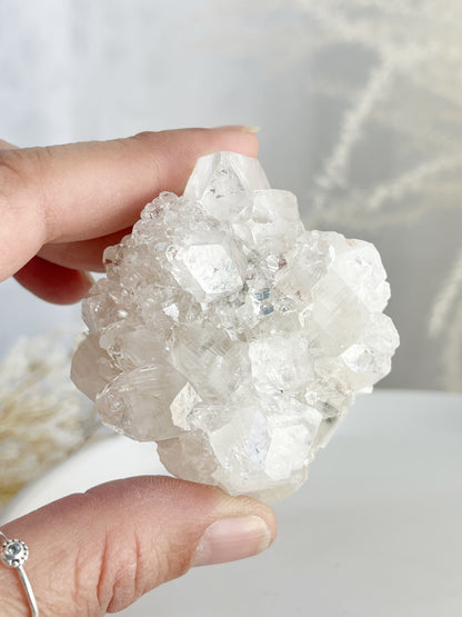 APOPHYLLITE CLUSTER || 32132
