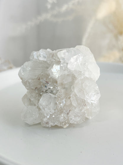 APOPHYLLITE CLUSTER || 32132