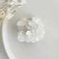 APOPHYLLITE CLUSTER || 32132