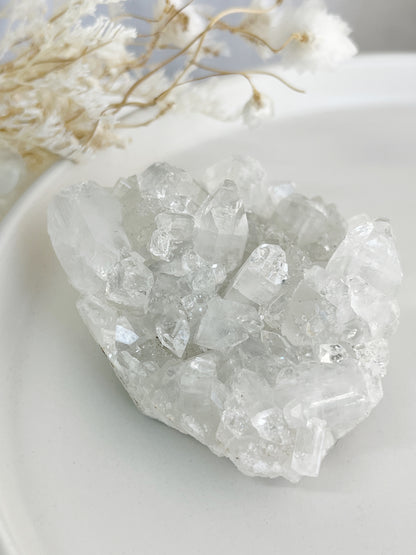 APOPHYLLITE CLUSTER || 32133