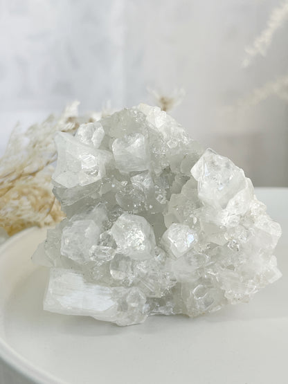 APOPHYLLITE CLUSTER || 32133