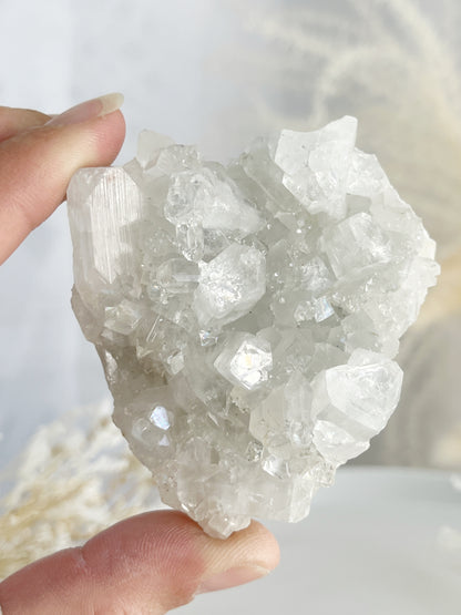 APOPHYLLITE CLUSTER || 32133