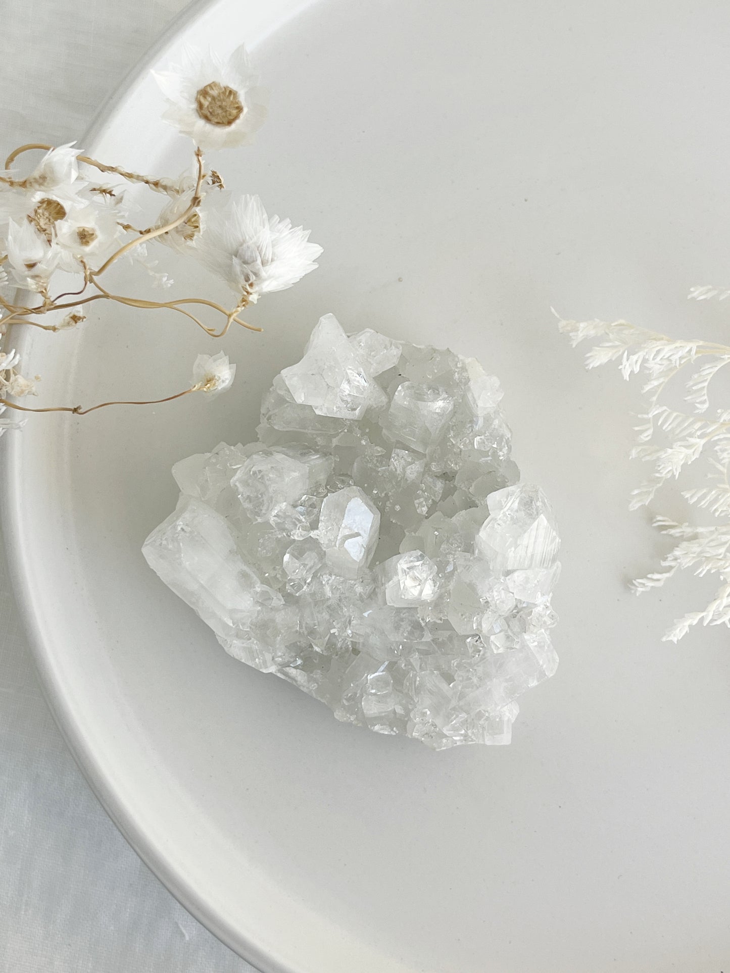 APOPHYLLITE CLUSTER || 32133