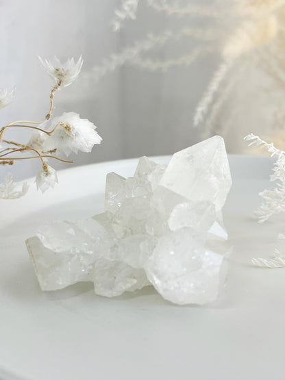 APOPHYLLITE CLUSTER || 32135