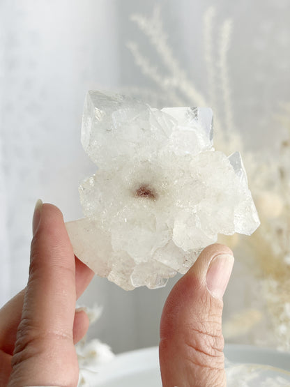 APOPHYLLITE CLUSTER || 32135