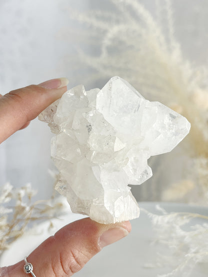 APOPHYLLITE CLUSTER || 32135