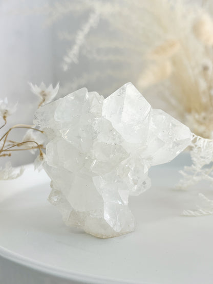 APOPHYLLITE CLUSTER || 32135