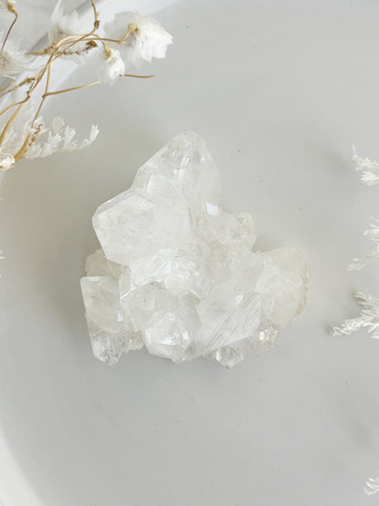 APOPHYLLITE CLUSTER || 32135