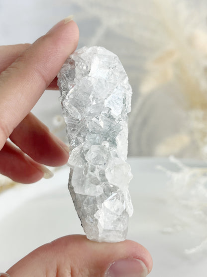 APOPHYLLITE CLUSTER || 32137