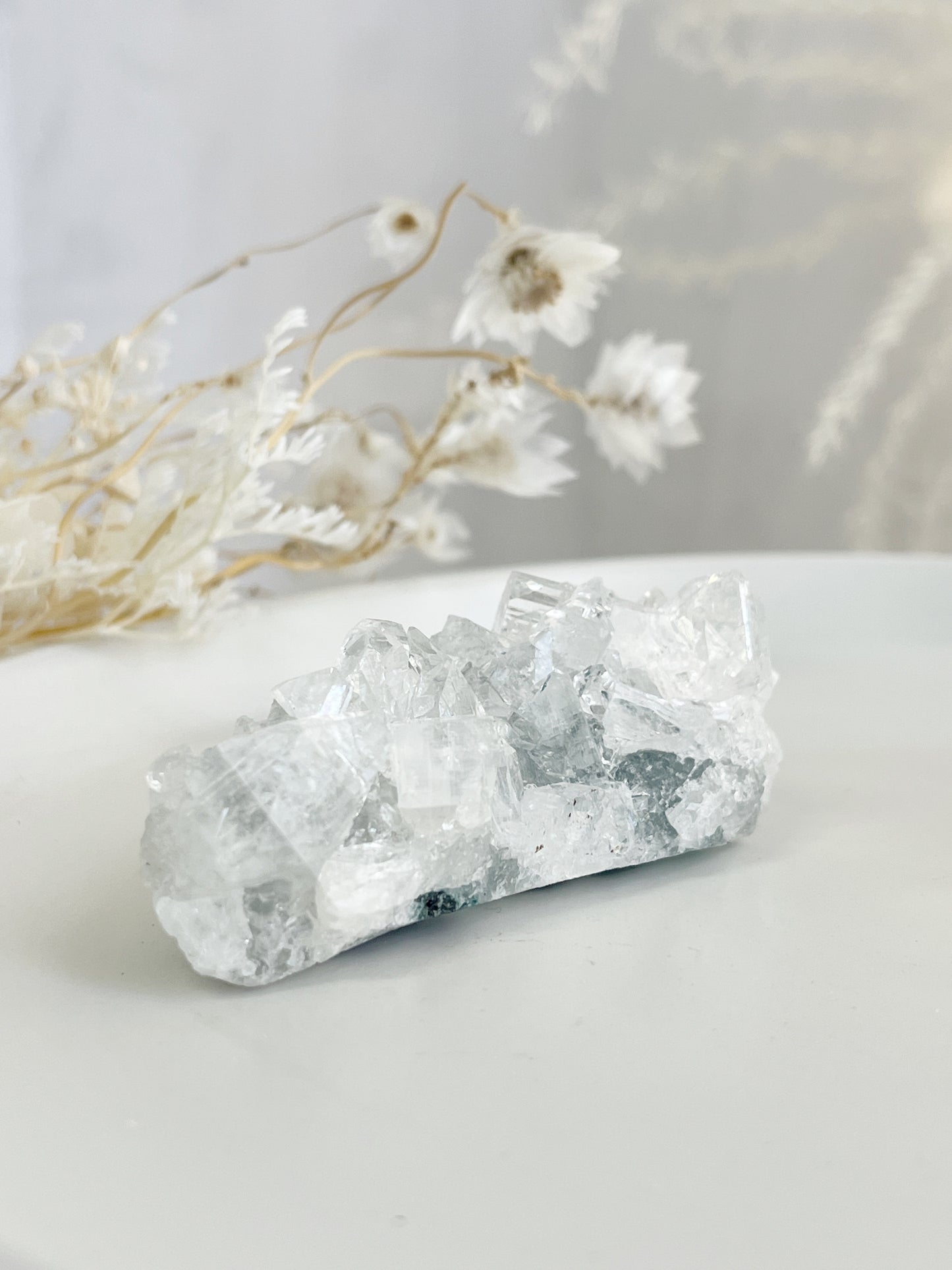 APOPHYLLITE CLUSTER || 32137
