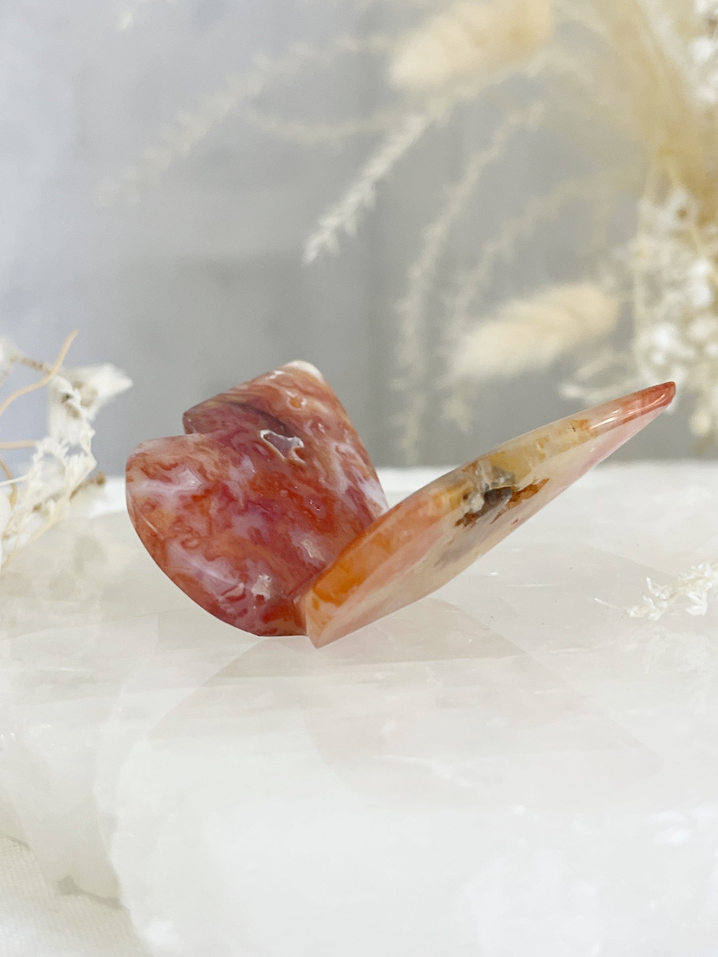 CARNELIAN 3D BUTTERFLY || 32152
