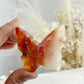 CARNELIAN 3D BUTTERFLY || 32153