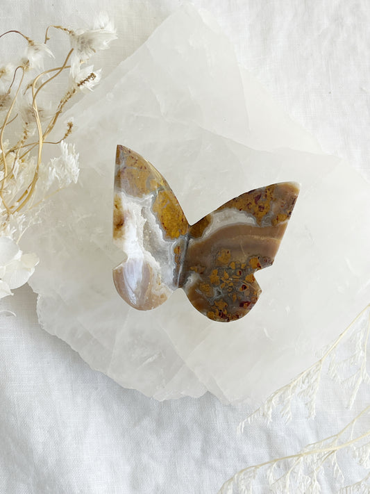 BROWN BRECCIATED JASPER 3D BUTTERFLY || 32154