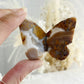 BROWN BRECCIATED JASPER 3D BUTTERFLY || 32154