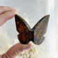 BROWN BRECCIATED JASPER 3D BUTTERFLY || 32155