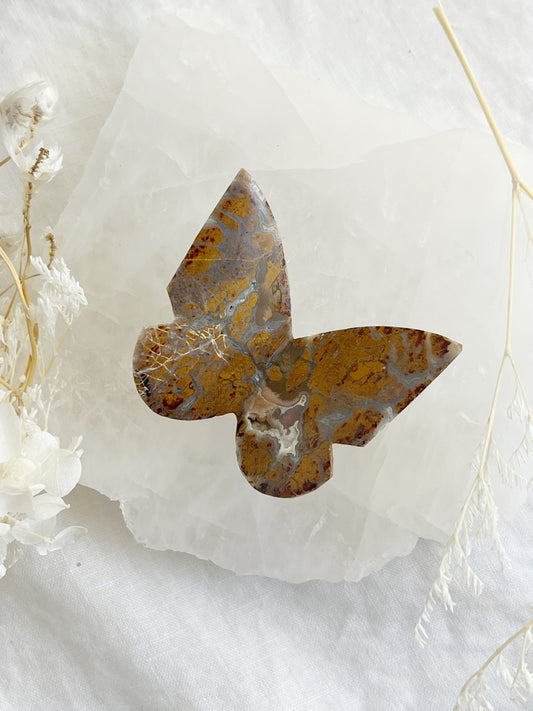 BROWN BRECCIATED JASPER 3D BUTTERFLY || 32156