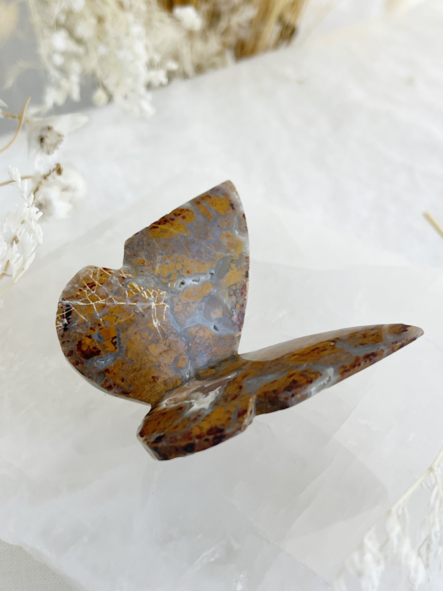 BROWN BRECCIATED JASPER 3D BUTTERFLY || 32156