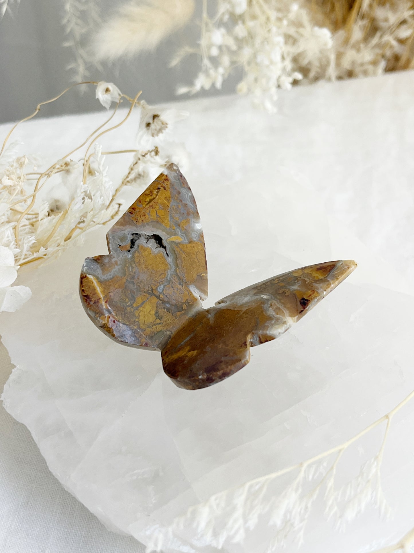 BROWN BRECCIATED JASPER 3D BUTTERFLY || 32158