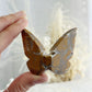 BROWN BRECCIATED JASPER 3D BUTTERFLY || 32158