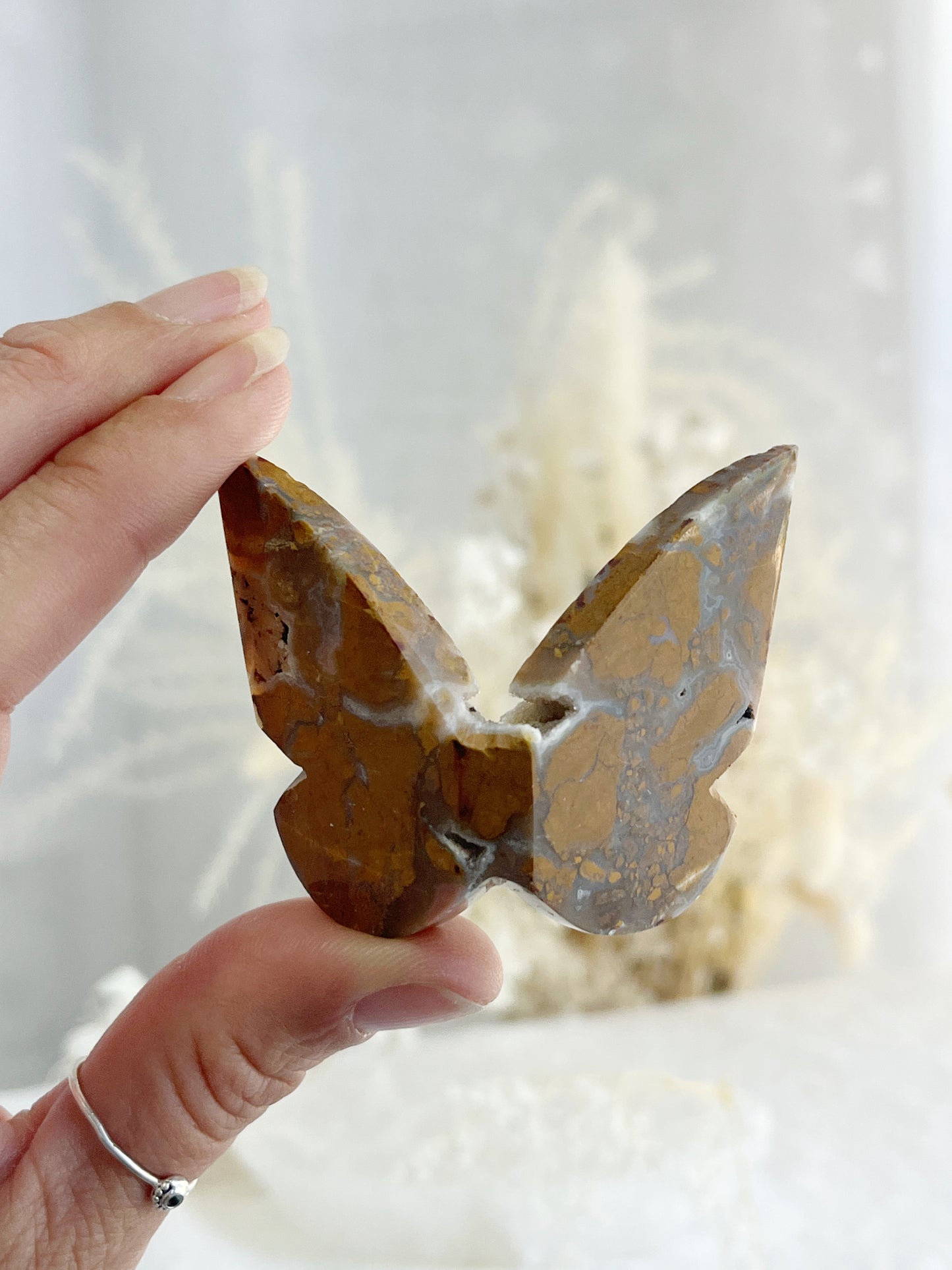 BROWN BRECCIATED JASPER 3D BUTTERFLY || 32158