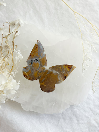 BROWN BRECCIATED JASPER 3D BUTTERFLY || 32158