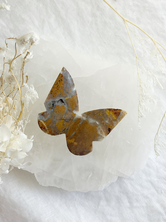 BROWN BRECCIATED JASPER 3D BUTTERFLY || 32158