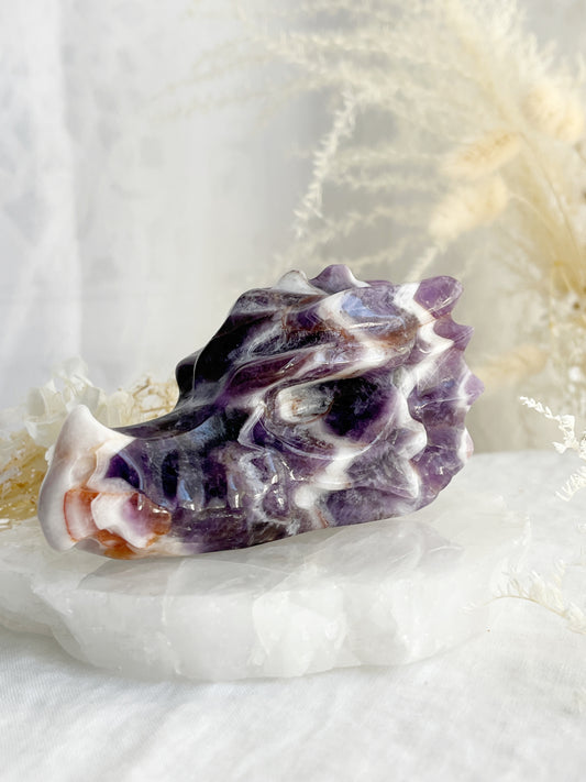 DREAM AMETHYST CHEVRON DRAGON SKULL CARVING AUSTRALIA