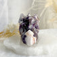 DREAM AMETHYST DRAGON SKULL  || 32218