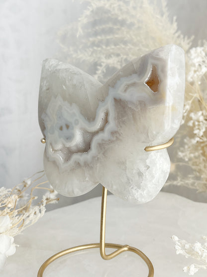 DRUZE AGATE BUTTERFLY || 33013
