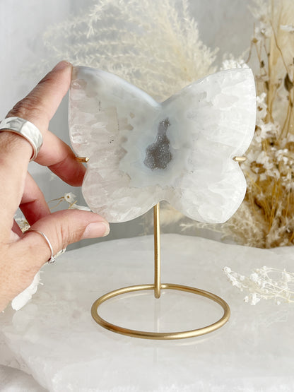 DRUZE AGATE BUTTERFLY || 33017