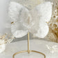 WHITE DRUZE AGATE BUTTERFLY CARVING ON STAND AUSTRALIA