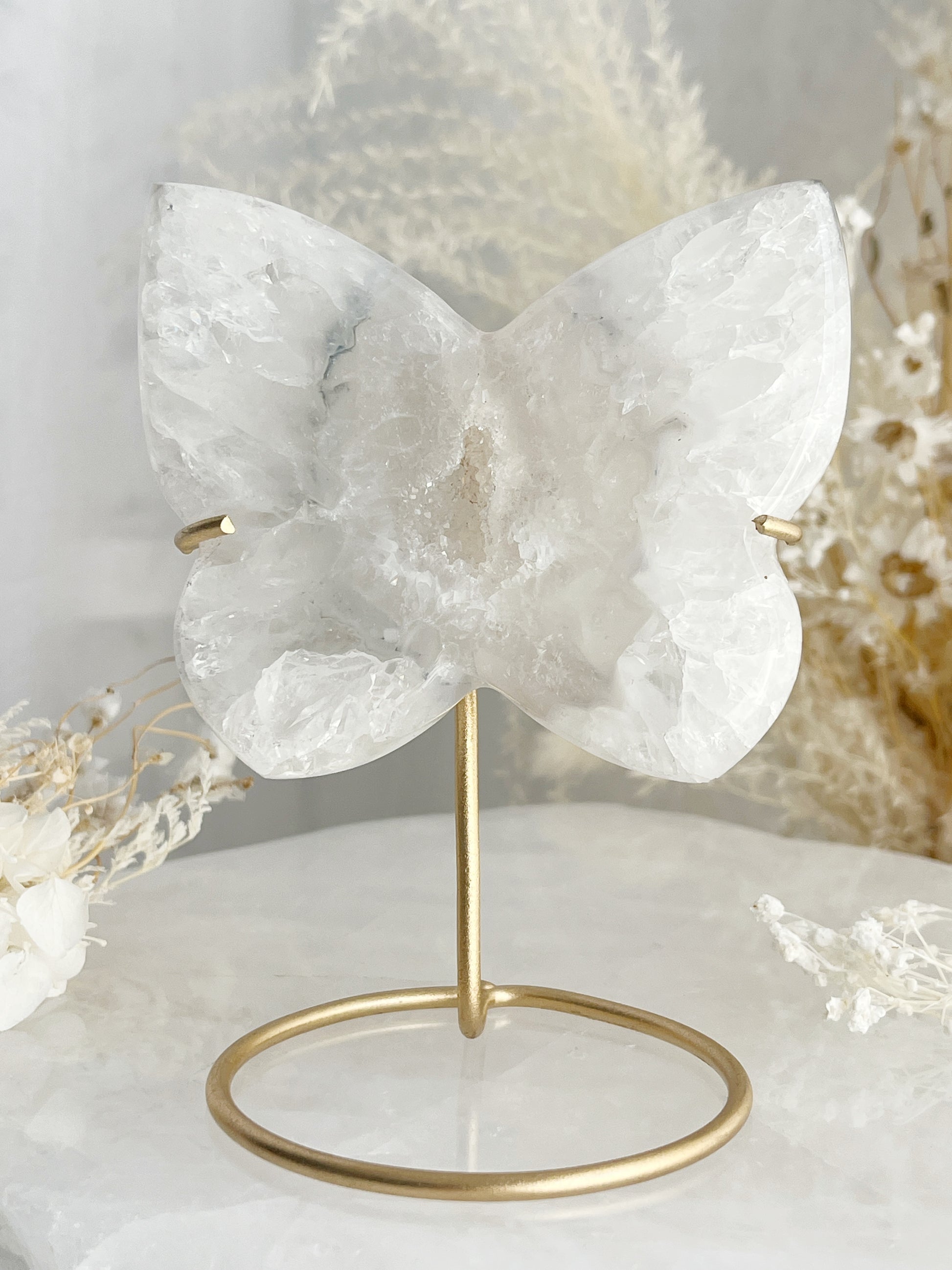 WHITE DRUZE AGATE BUTTERFLY CARVING ON STAND AUSTRALIA