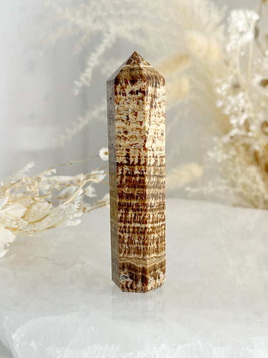 BROWN ARAGONITE GENERATOR TOWER POINT AUSTRALIA