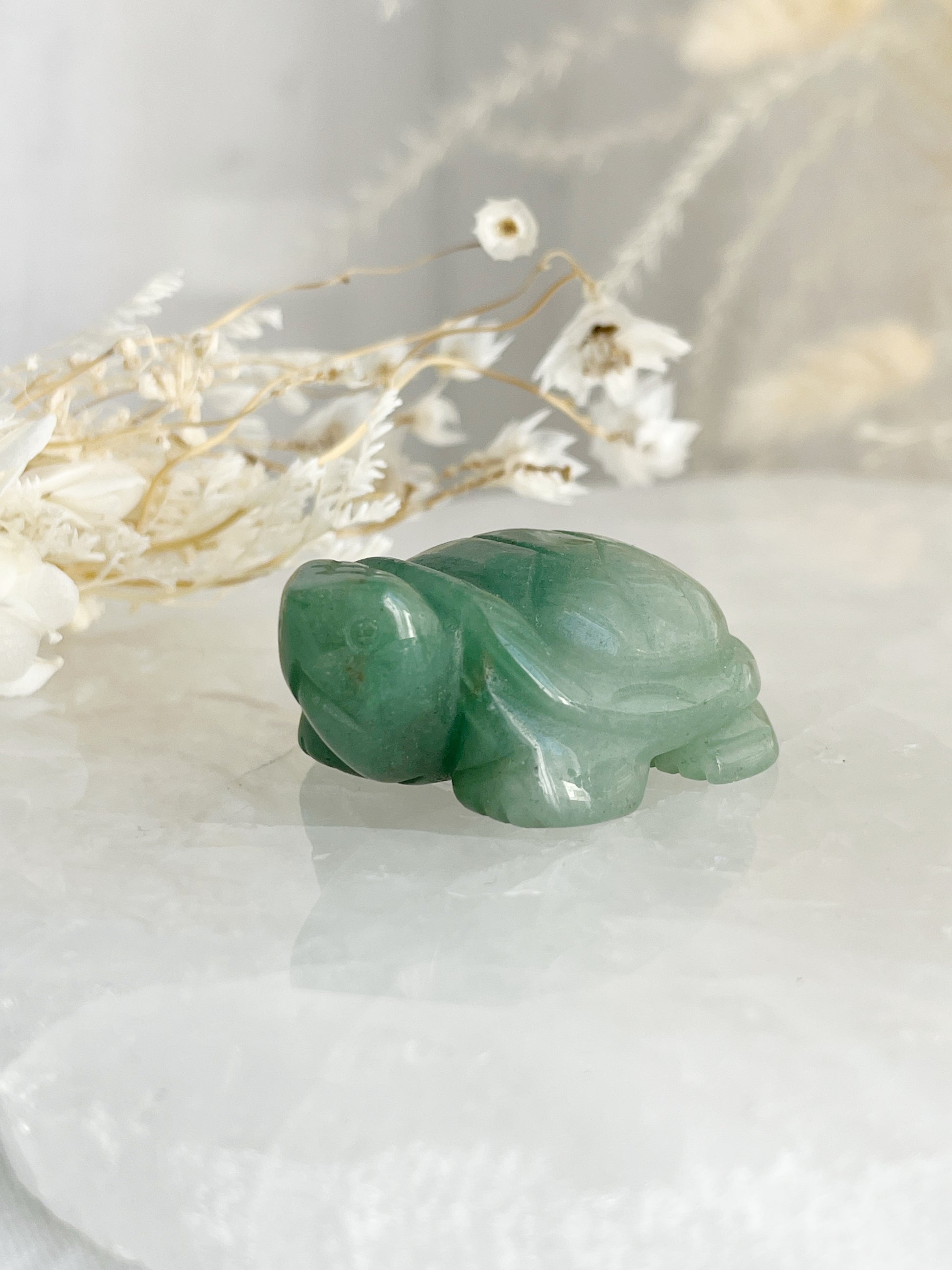 GREEN AVENTURINE TURTLE AUSTRALIA