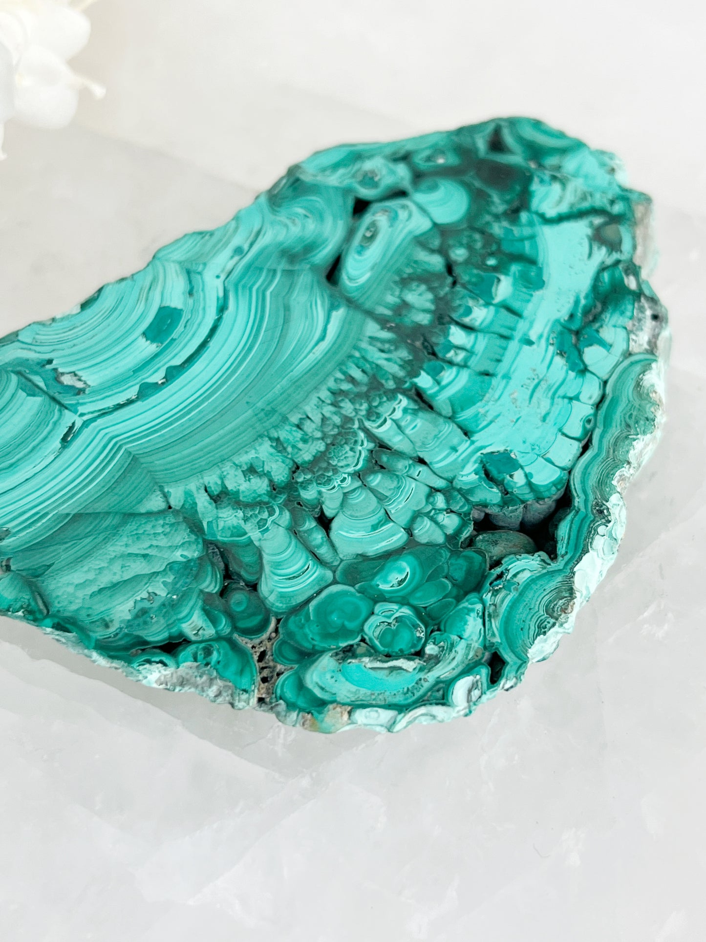 MALACHITE SLICE || 32222